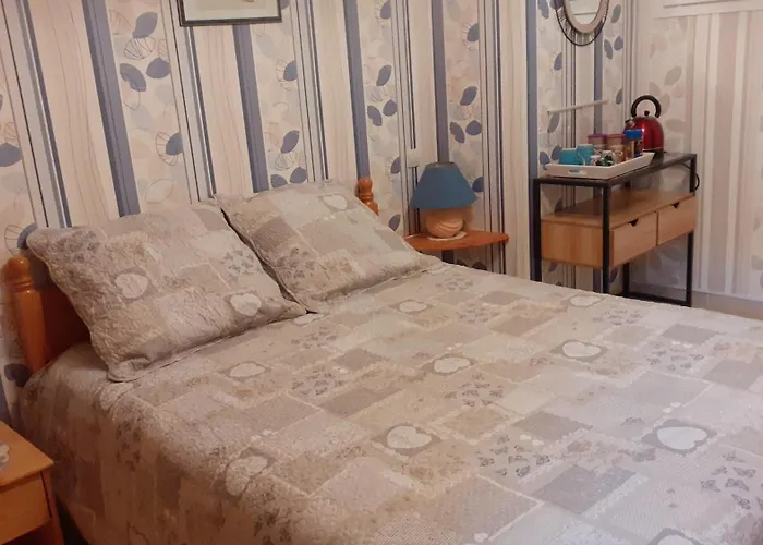 L'olivande 锡斯特龙