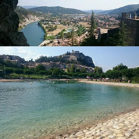 L'olivande *